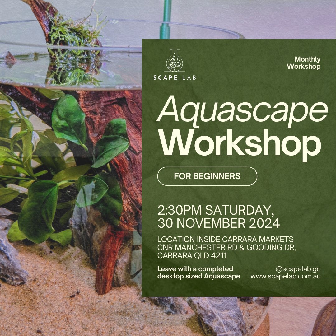 Scape Workshop