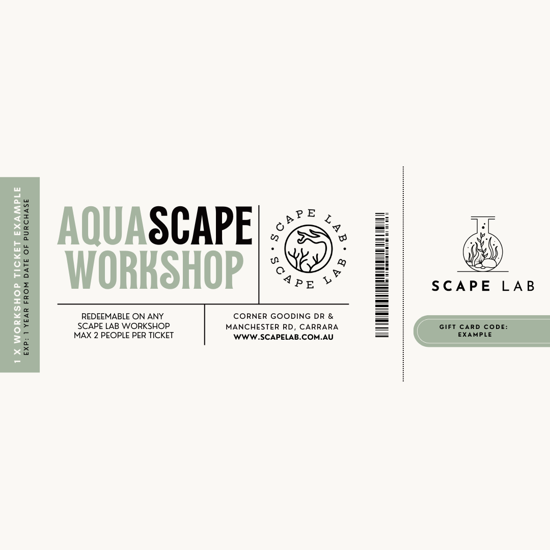 Scape Lab Workshop Gift Card