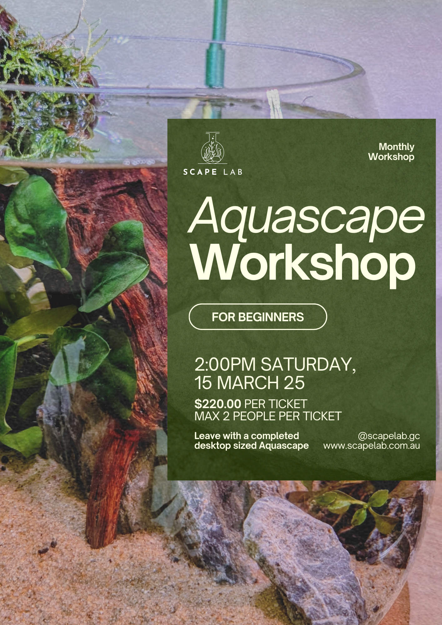 Aquascaping Workshop 15th March 2025
