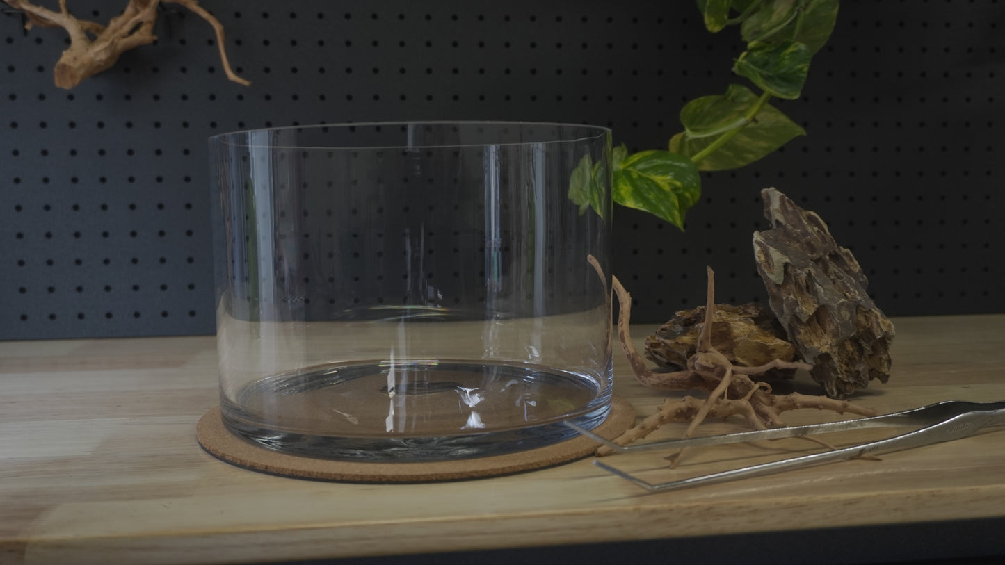 Scape Lab DIY Kit | Dragon
