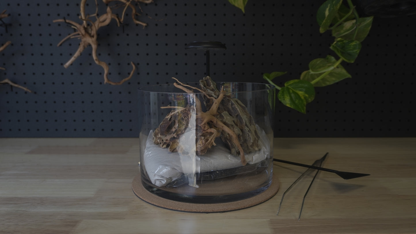 Scape Lab DIY Kit | Dragon