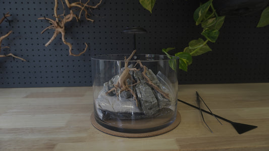 Scape Lab DIY Kit | Super Seiryu
