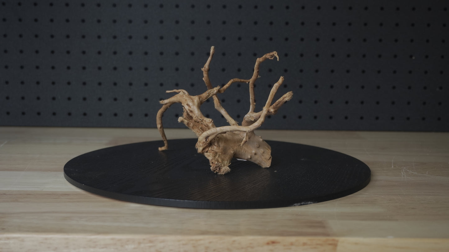 Drift Wood | Gold Vine - Standard