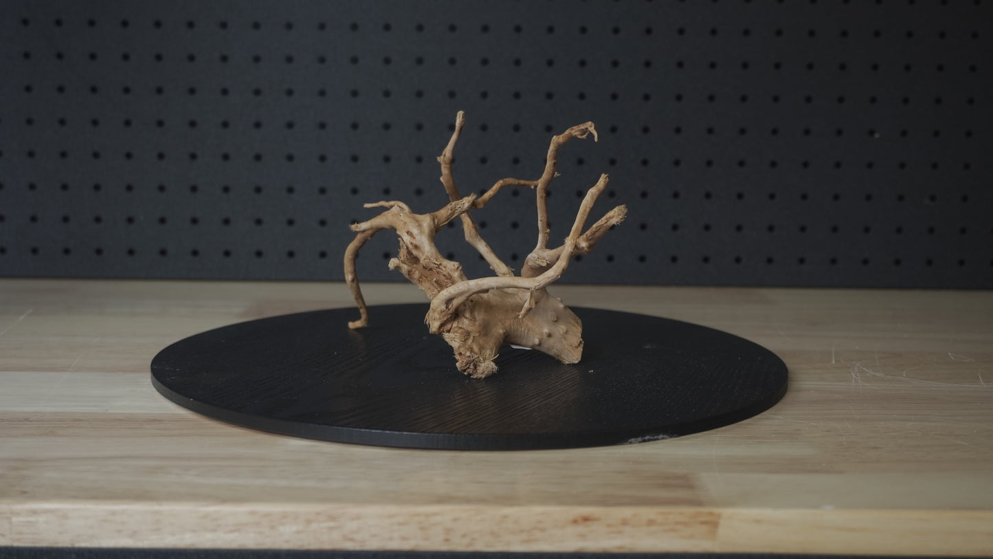 Drift Wood | Gold Vine - Standard