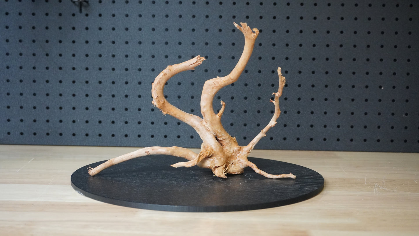 Drift Wood | Gold Vine - Standard
