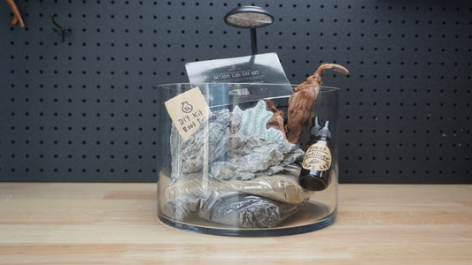 Scape Lab DIY Kit | Seiryu