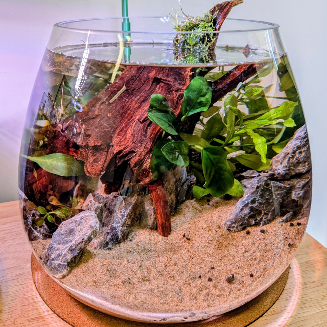 Non Slip Thin Cork Base | 25cm
